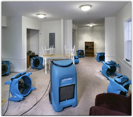 Water Damage Restoration services in Roselle Park, NJ