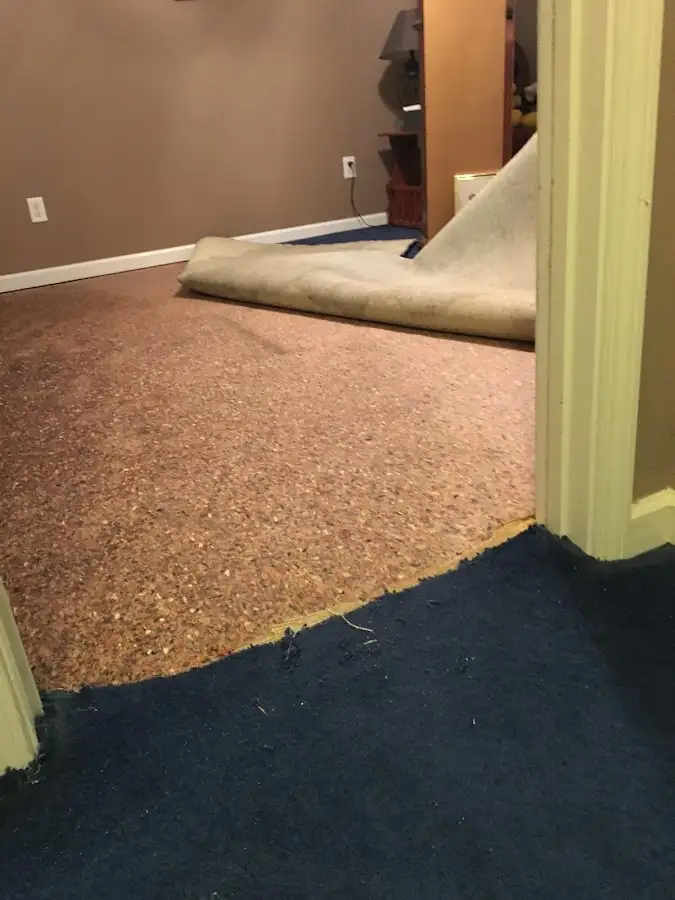 Carpet pad removal revealing water damage during Drying & Dehumidification in Roselle Park