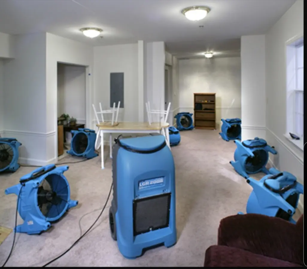Air movers and dehumidifier setup for Water Extraction & Removal in Roselle Park