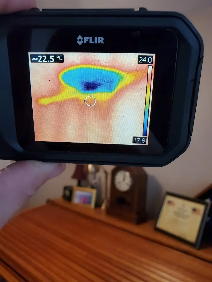 Thermal imaging inspection for water damage in Roselle Park