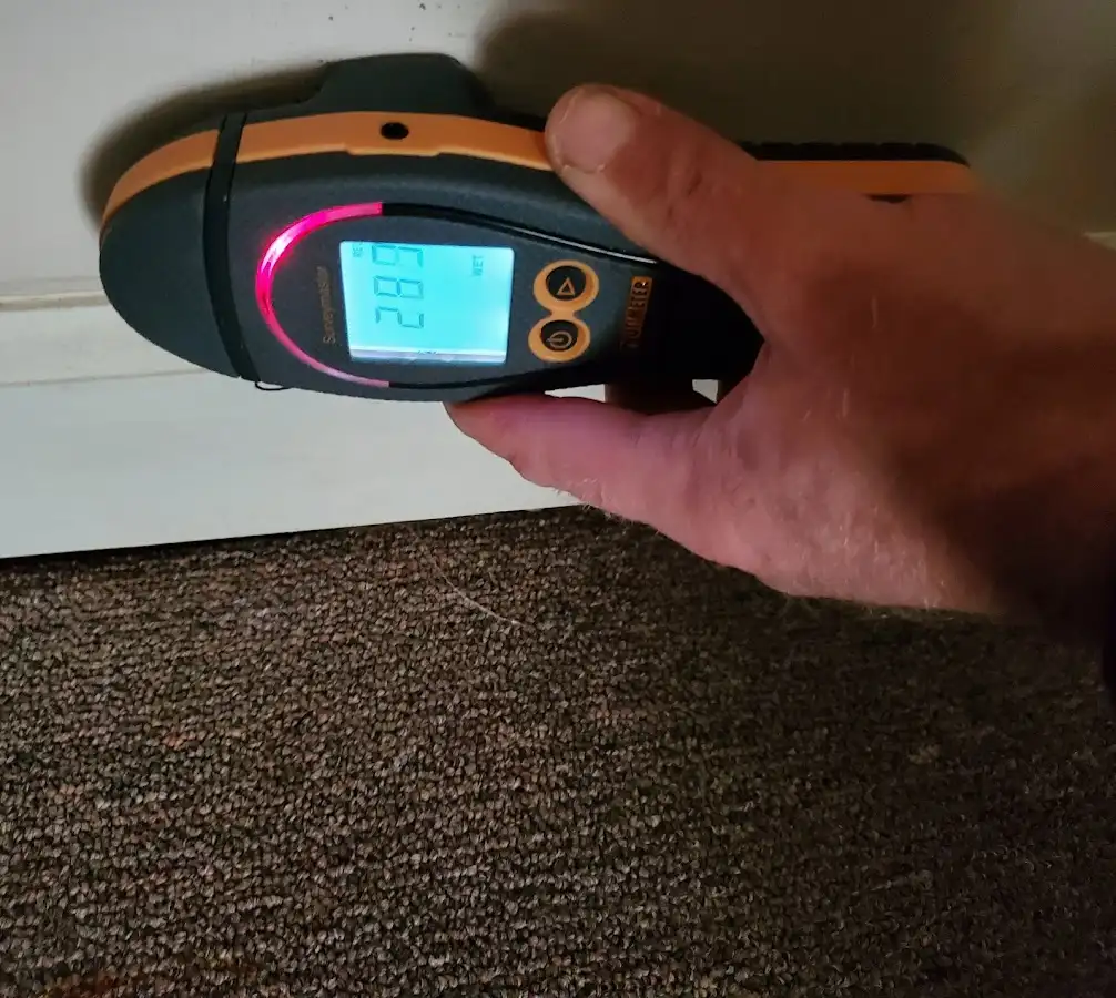 Moisture detection at baseboard during Sewage Cleanup & Sanitation in Roselle Park
